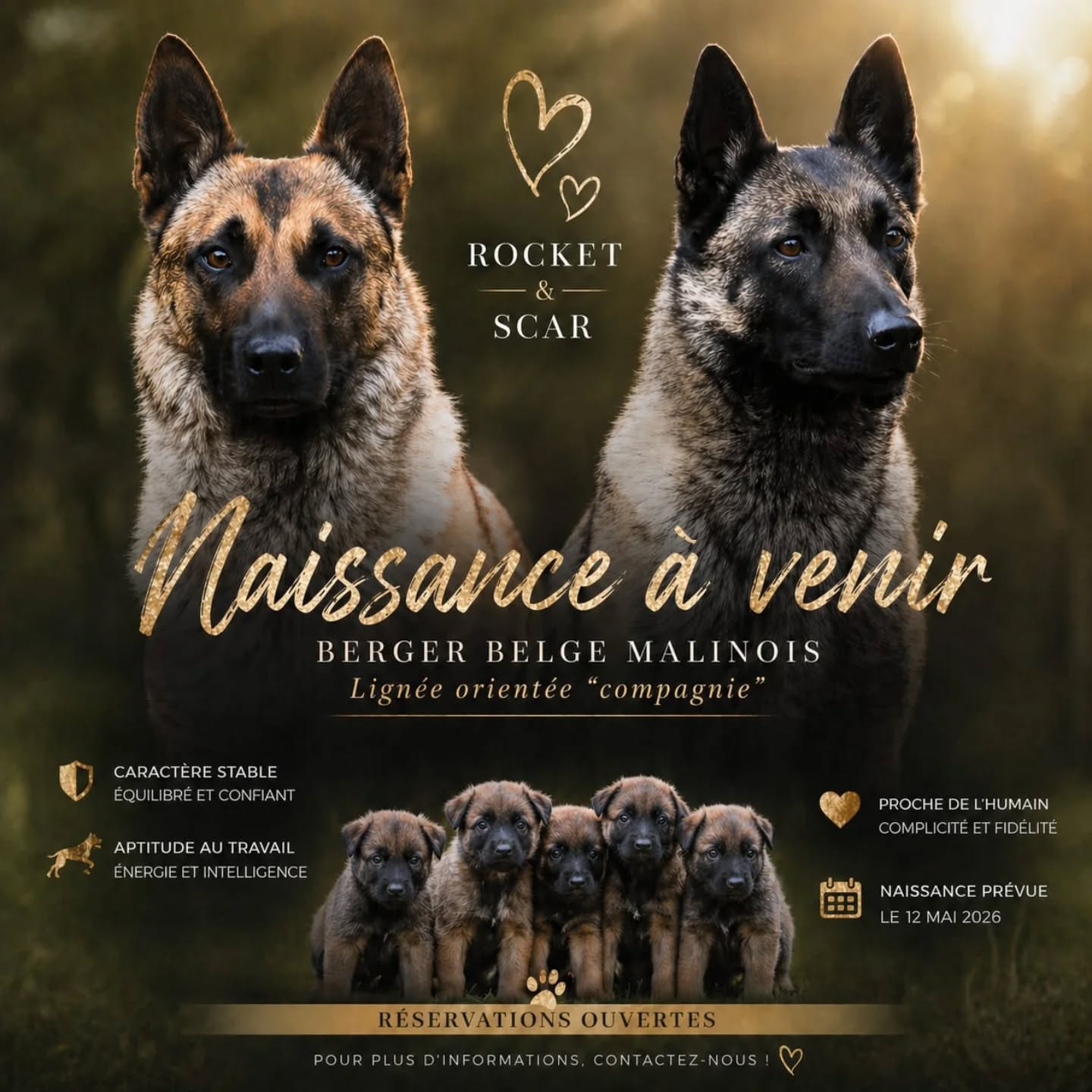Naissances a venir