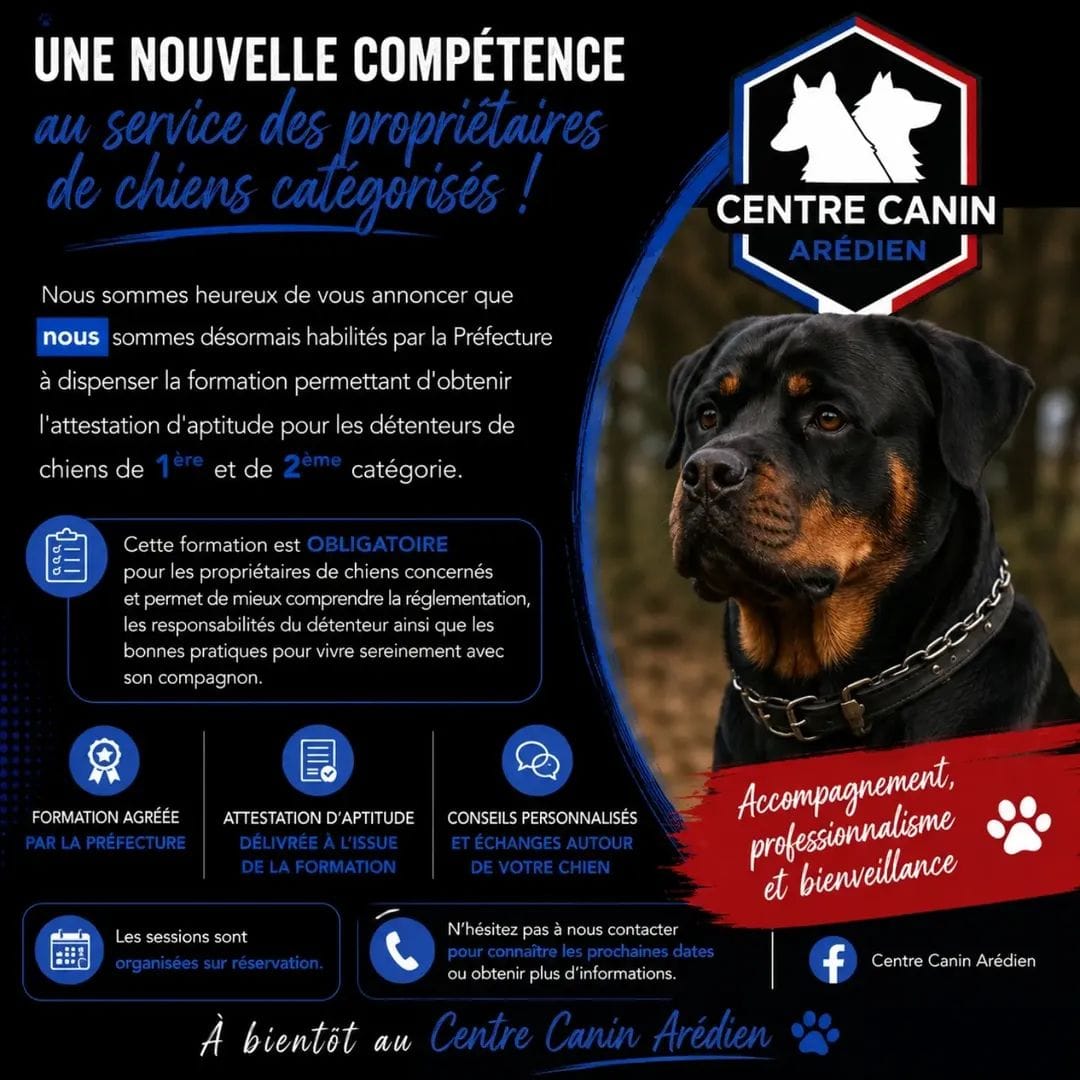 entente chiens