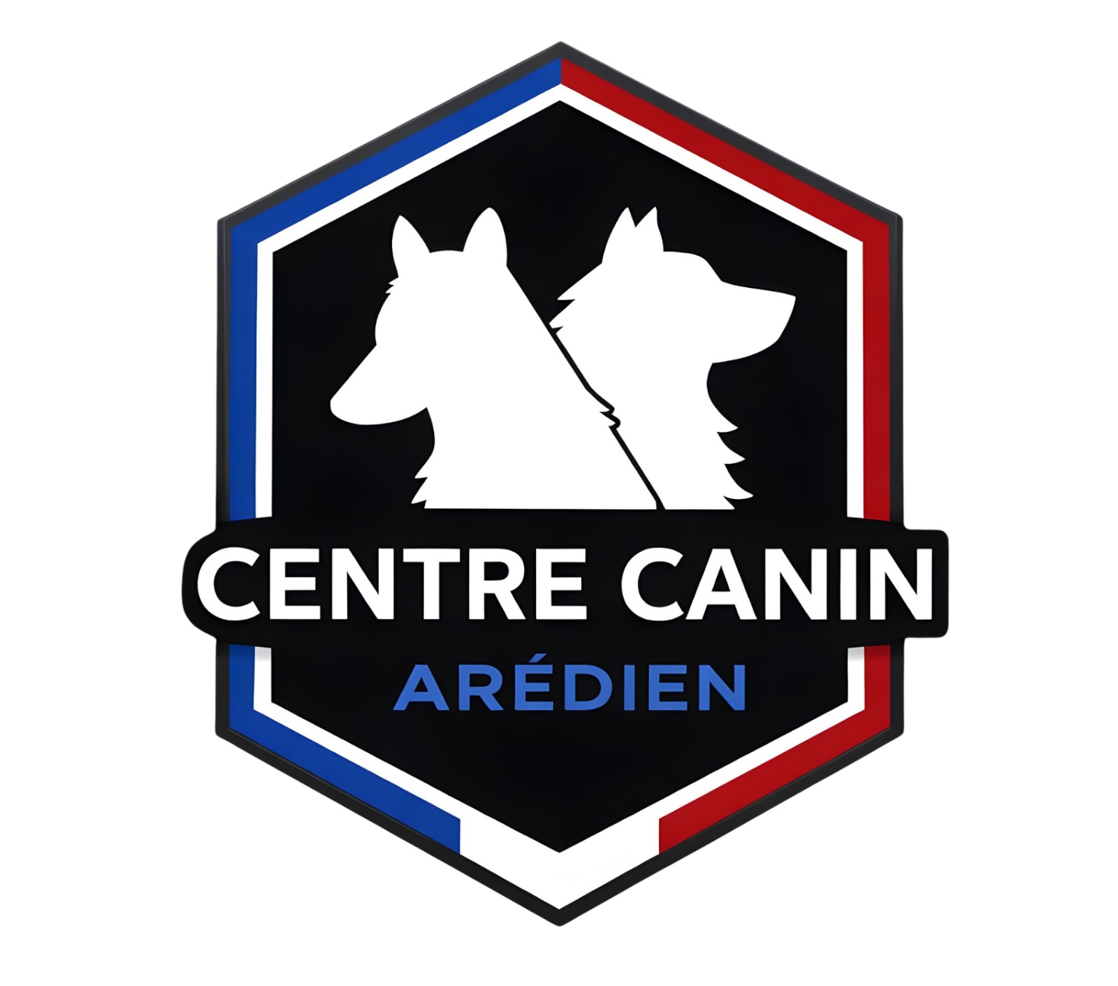 centrecaninaredien.fr
